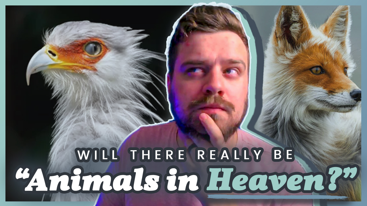 Featured Image for the Blog Post "What the Bible Actually Says About Animal Suffering (And Why It Changes Everything)"